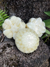 Load image into Gallery viewer, Shampoo Conditioner Bars
