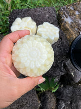 Load image into Gallery viewer, Shampoo Conditioner Bars
