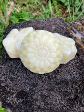Load image into Gallery viewer, Shampoo Conditioner Bars

